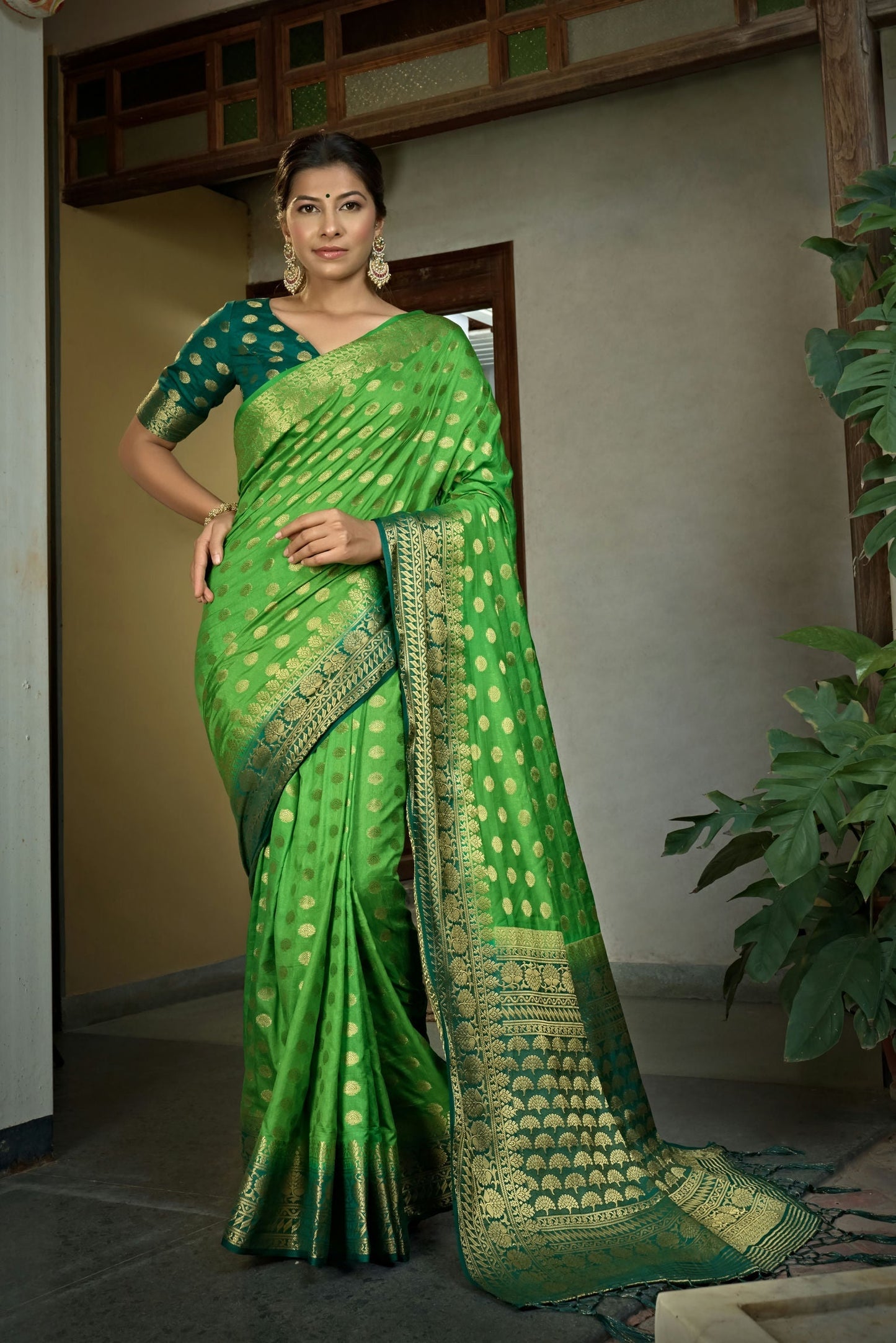 Banarasi Dola Silk Saree