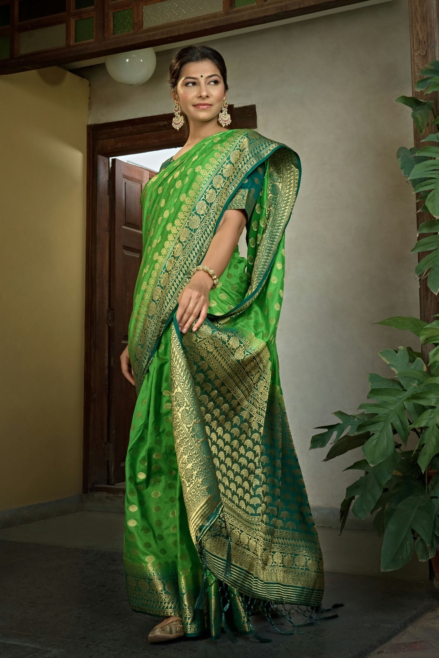 Banarasi Dola Silk Saree