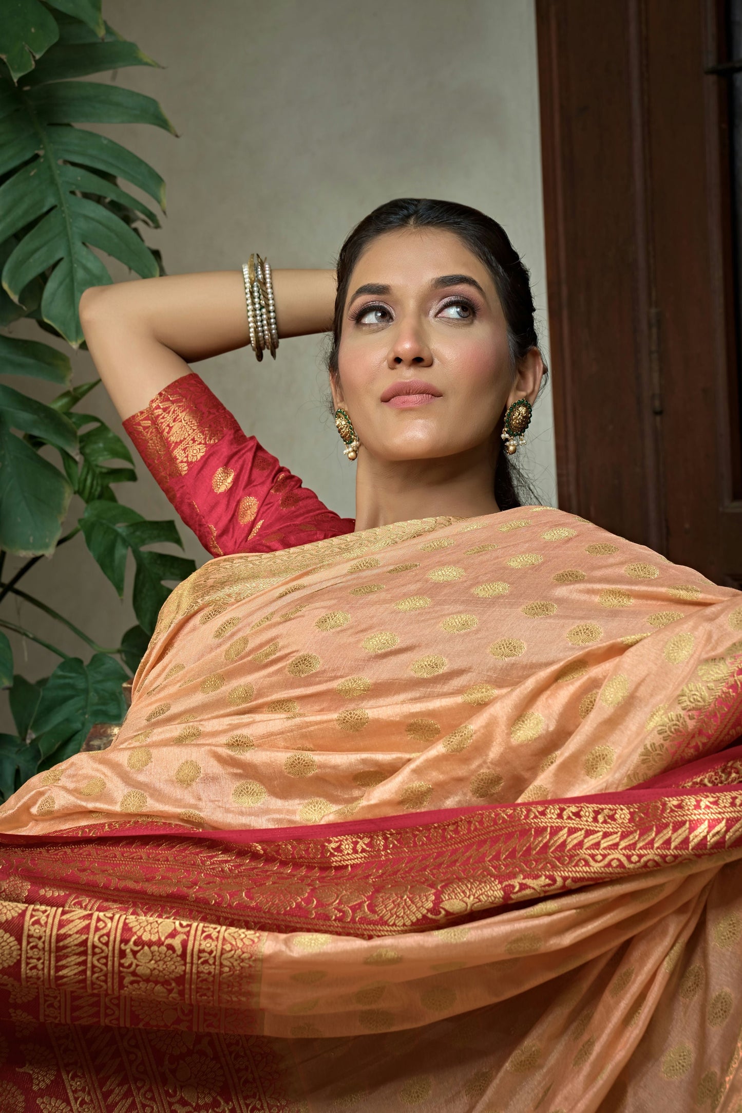 Banarasi Dola Silk Saree