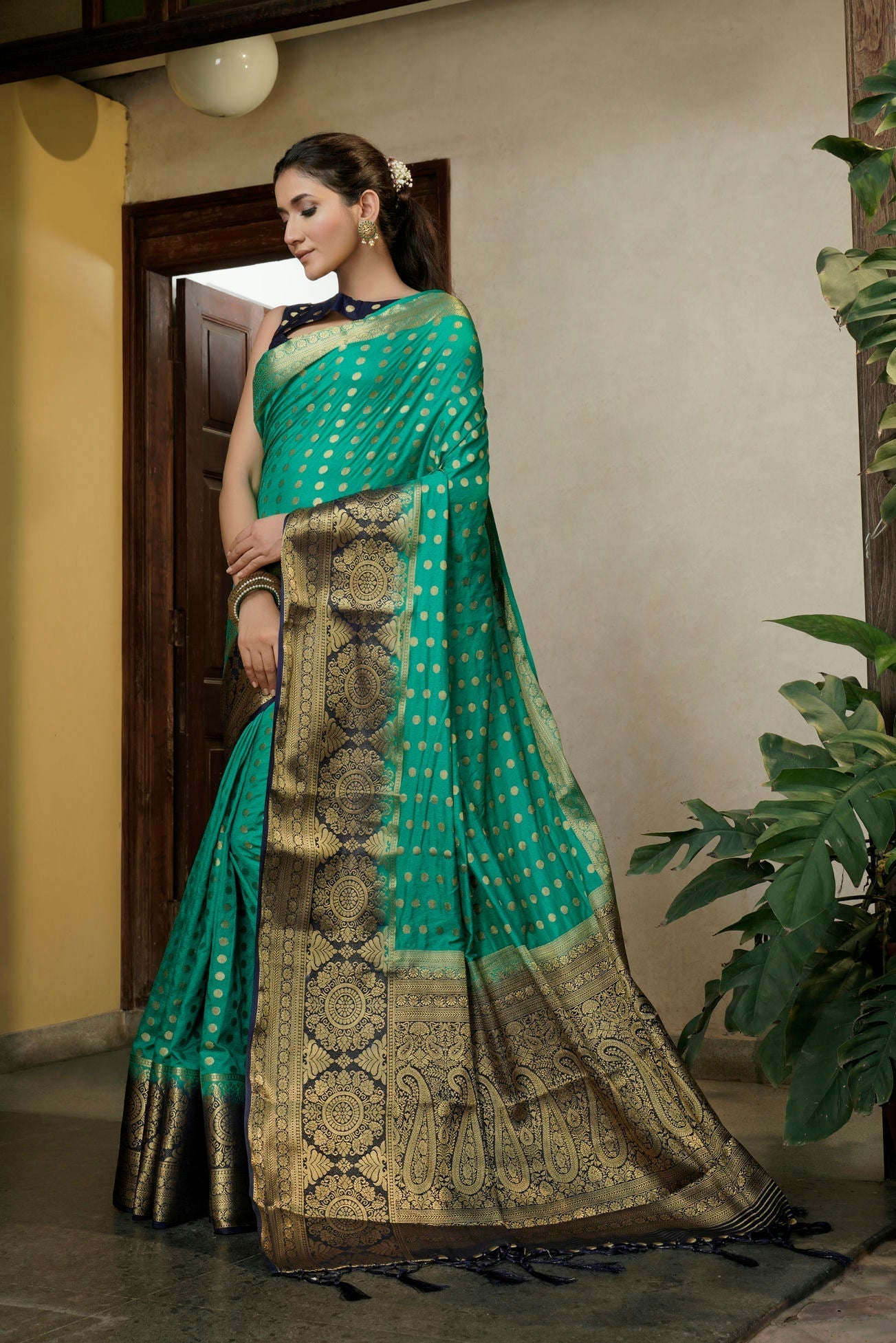 Banarasi Dola Silk Saree