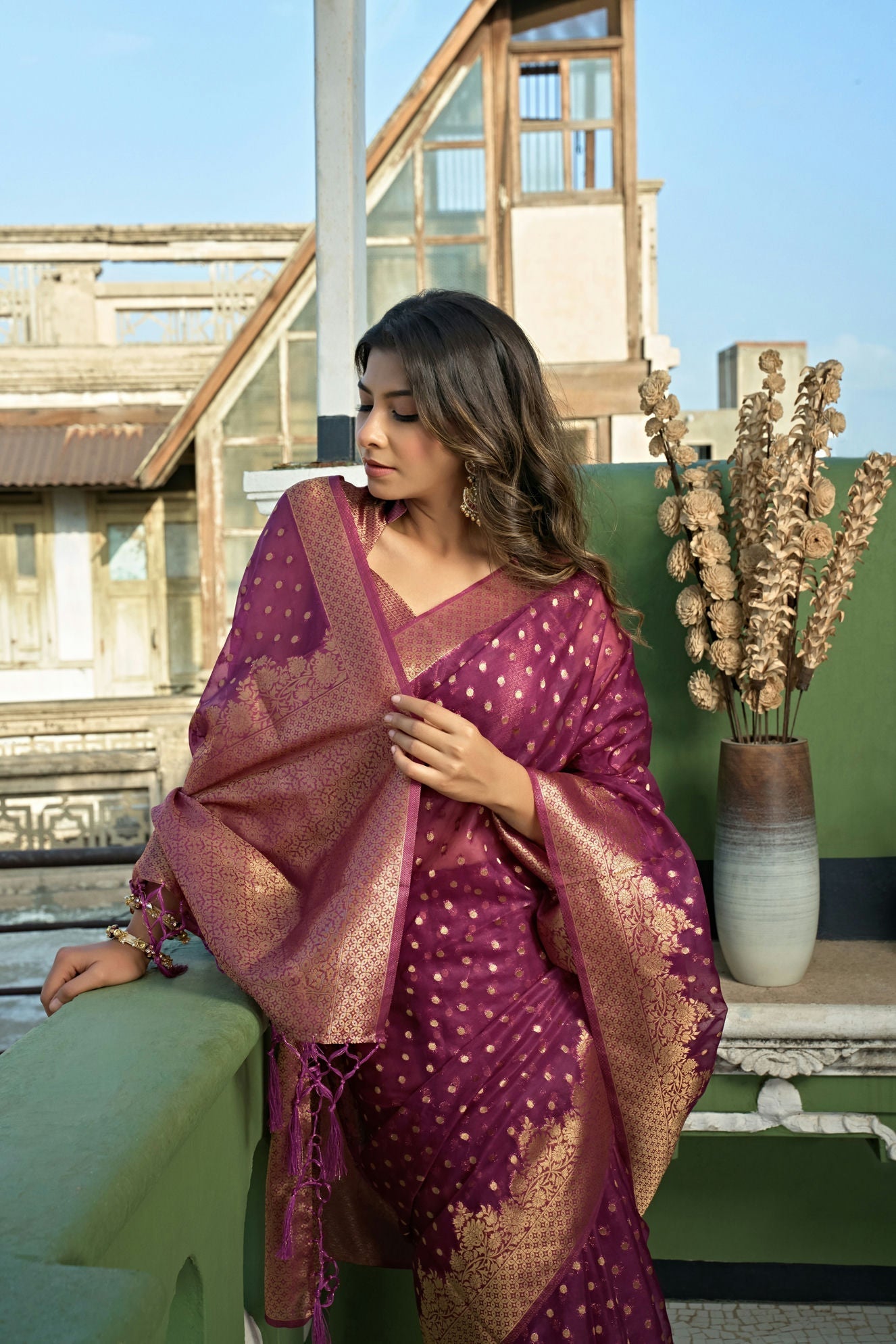 Organza Silk Saree