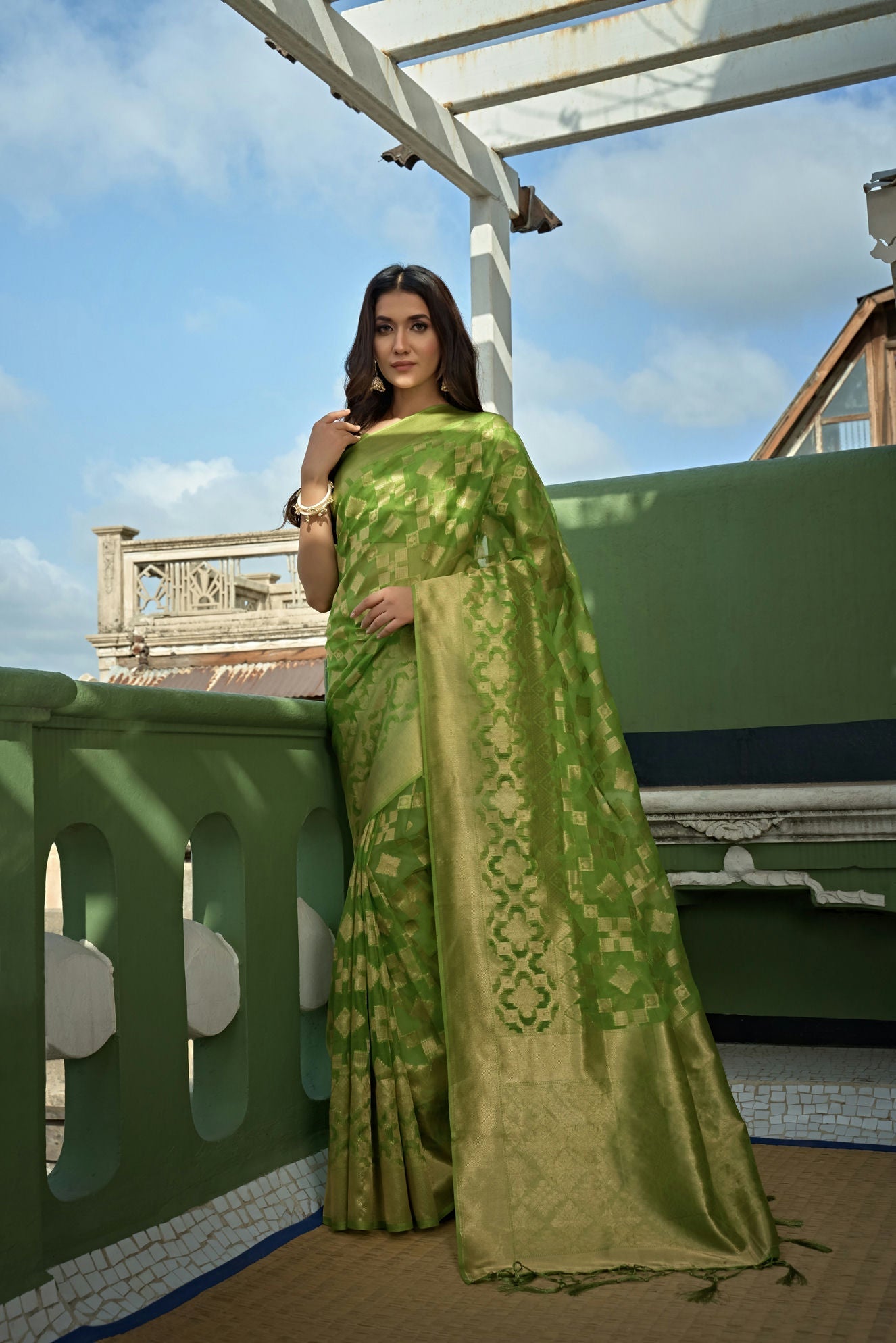 Organza Silk Saree