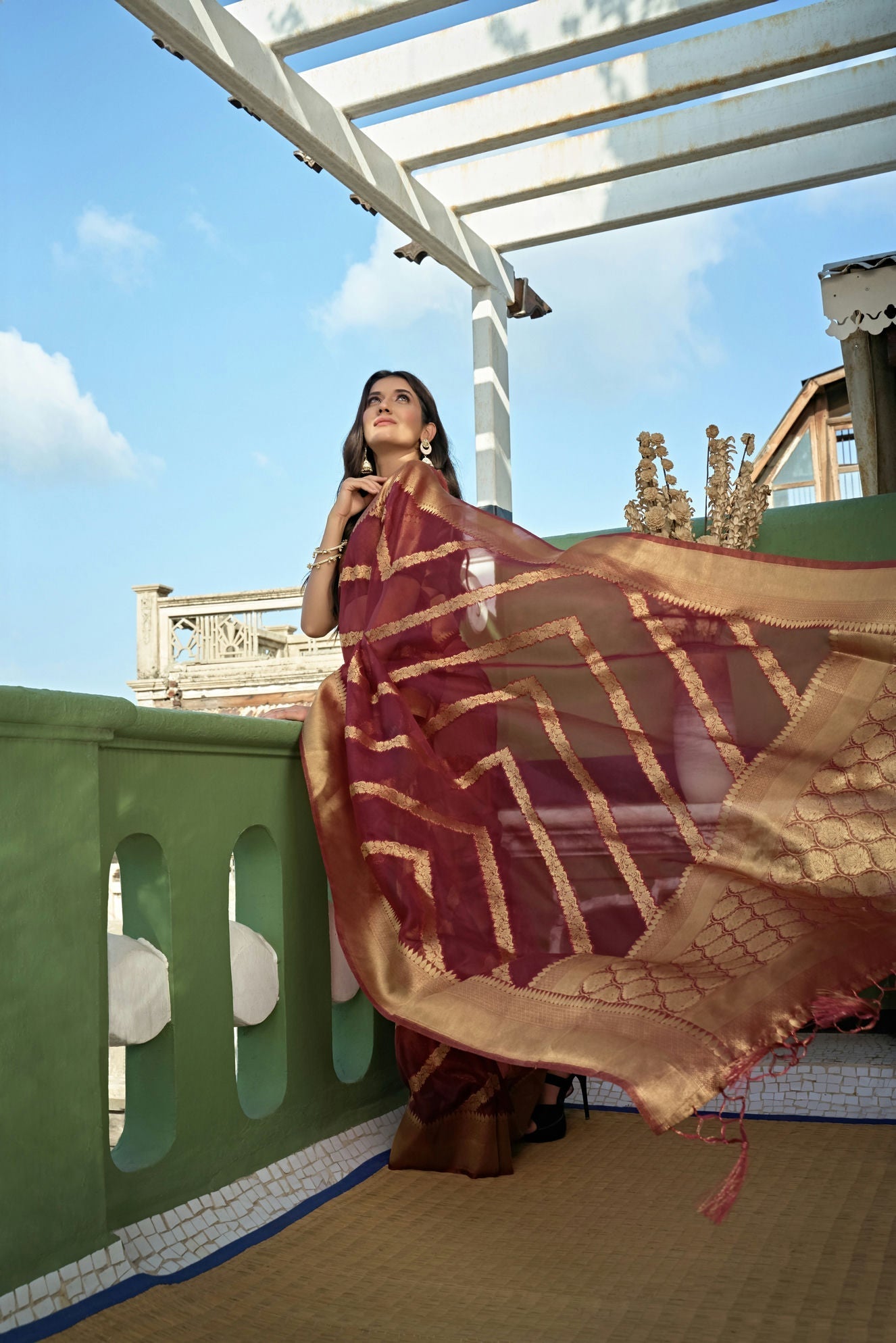 Organza Silk Saree